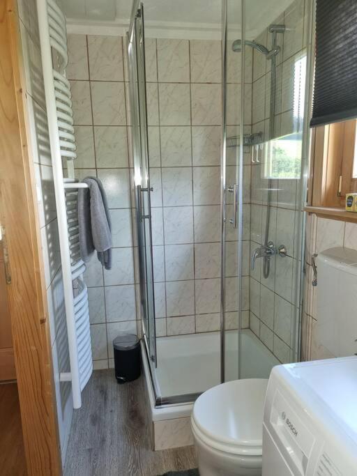 Ferienhaeuschen In Mariahof Apartman Kültér fotó